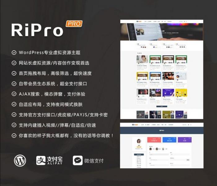 RIPro主题 v7.2 免授权修复后门完美版-源码宝